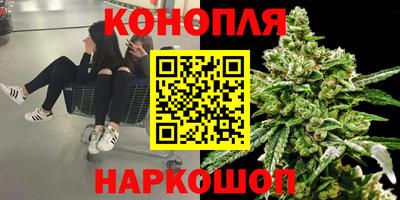 мдпв Обнинск