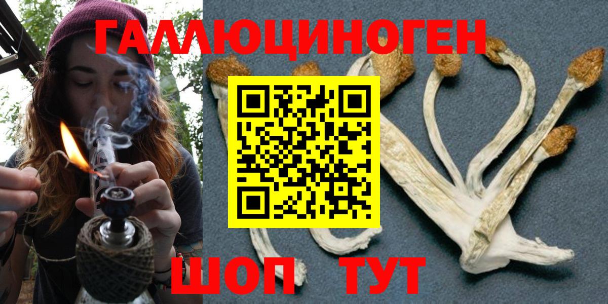 Псилоцибиновые грибы ЛСД Арсеньев