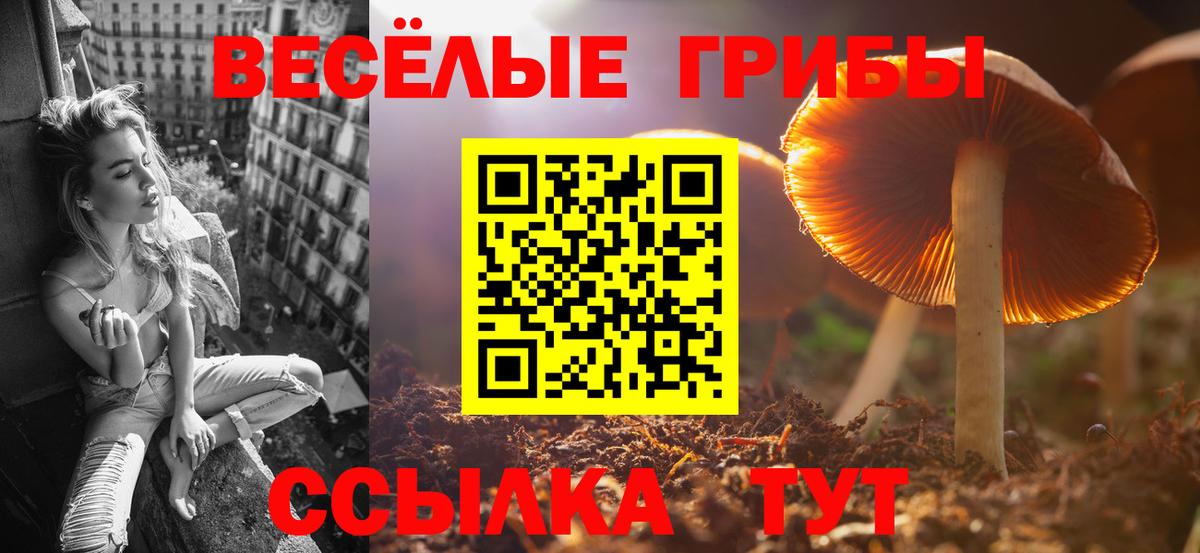 Арсеньев  Галлюциногенные грибы мухоморы  Вход с VPN 